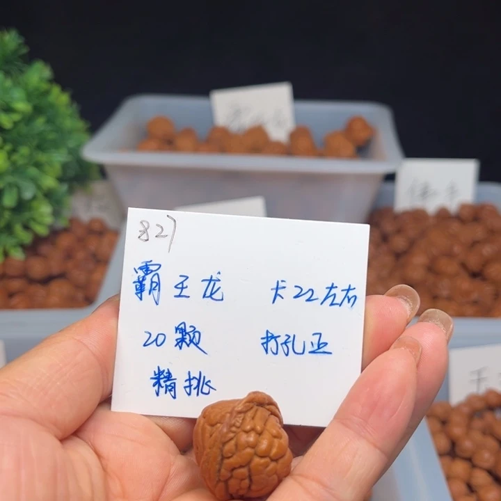 手串桃核霸王龙22左右20颗