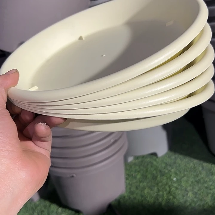 一***一正品圆托盘26外径5个