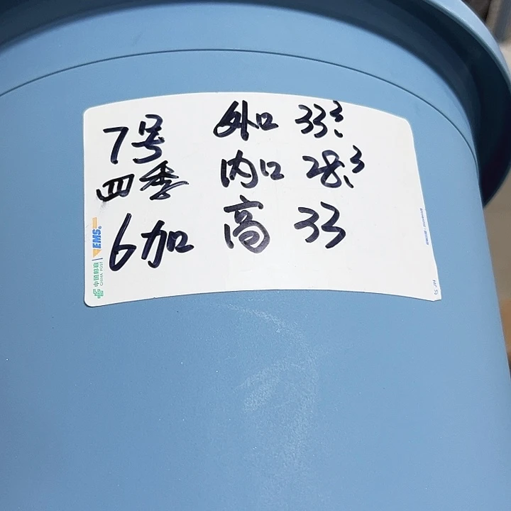 特价七号四季口33高33蓝色无托4个