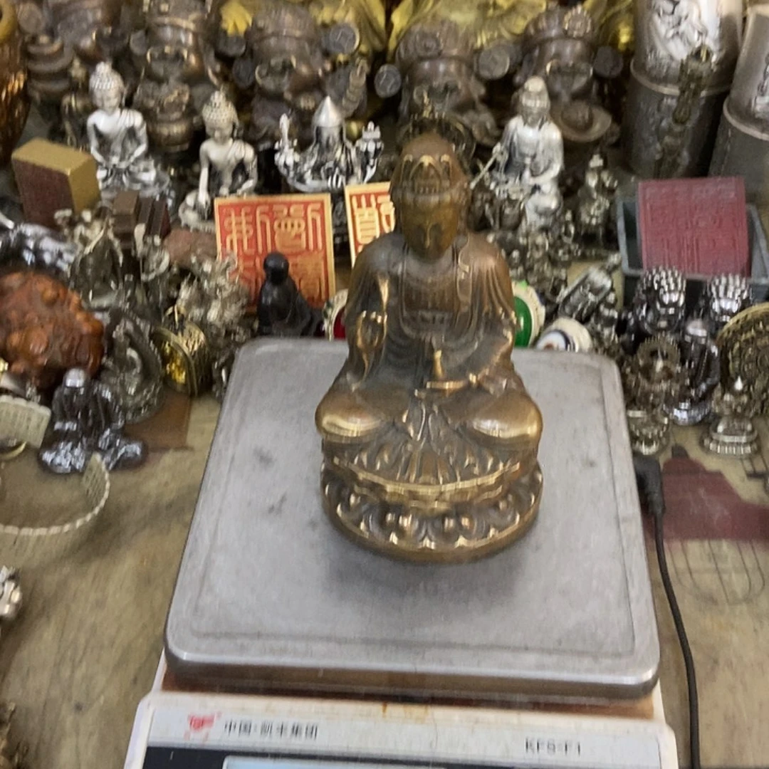 白净白净白净白净白净戒白戒白戒白戒
