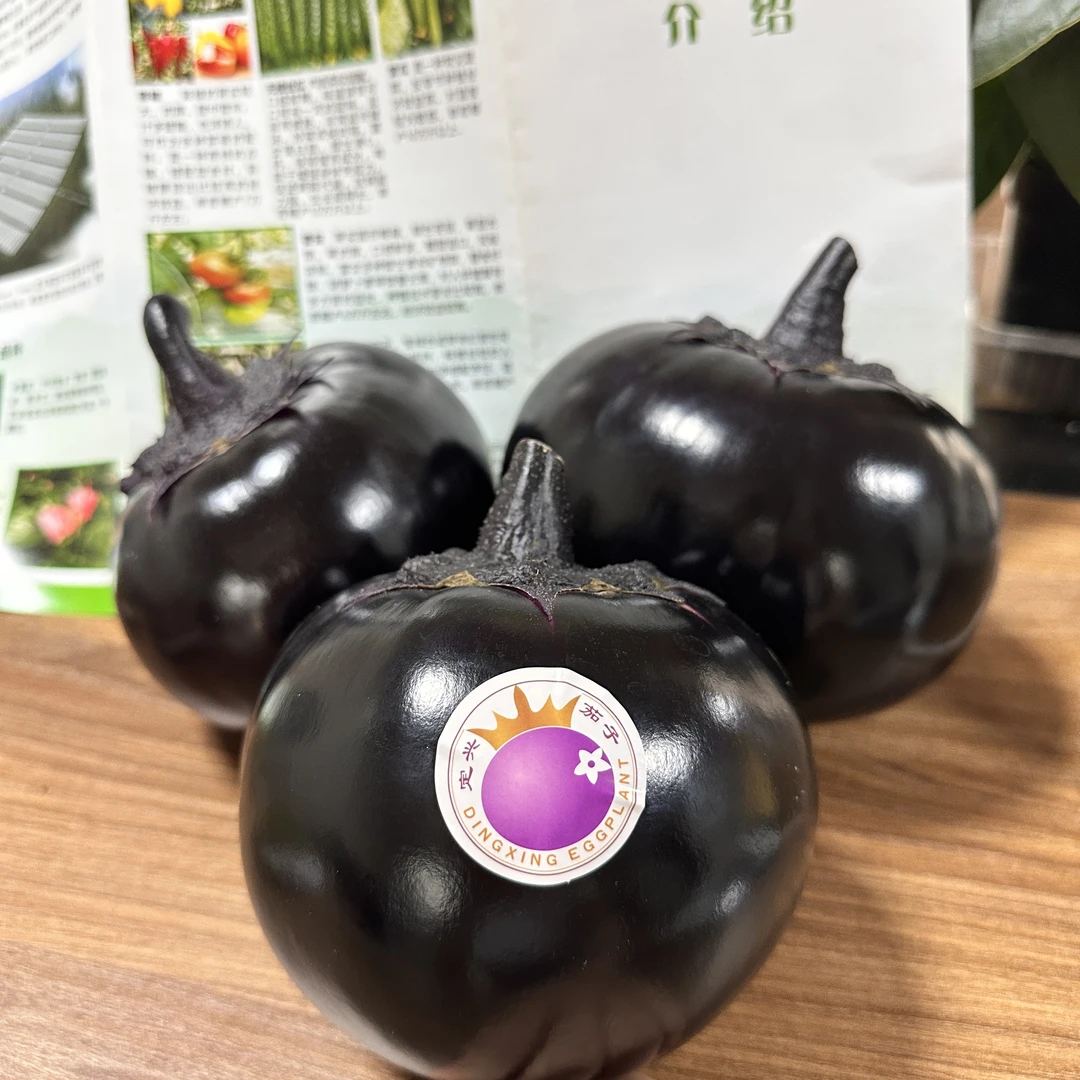 【定兴茄子】蔬菜当日现摘原产地直发3斤
