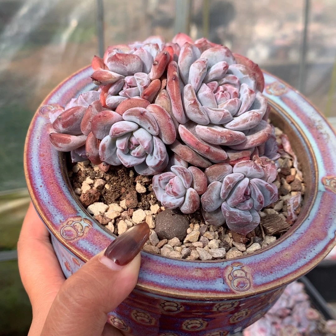 哈哈哈哈哈哈哈27