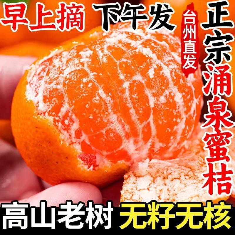 浙江临海涌泉蜜桔顺丰包邮产地直发