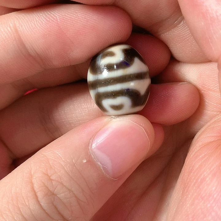 拼手速 拼手速 拼手速