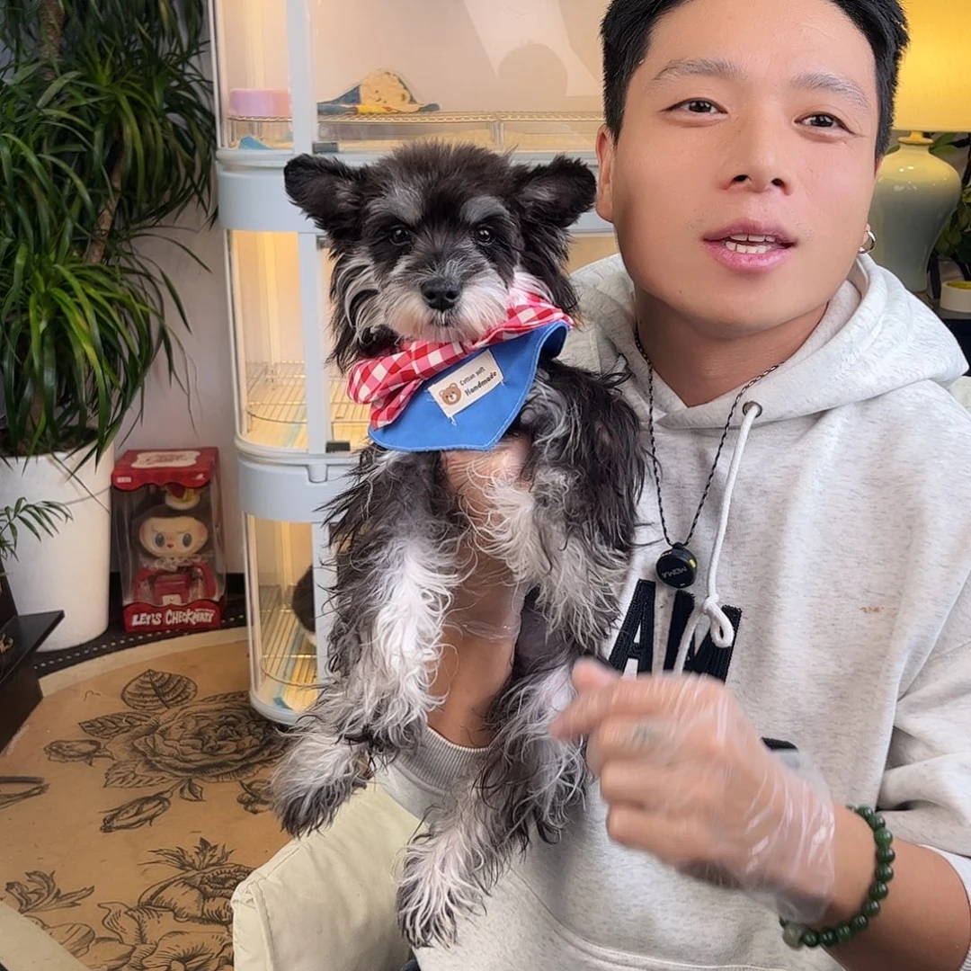 吹***泡雪纳瑞妹妹大福利