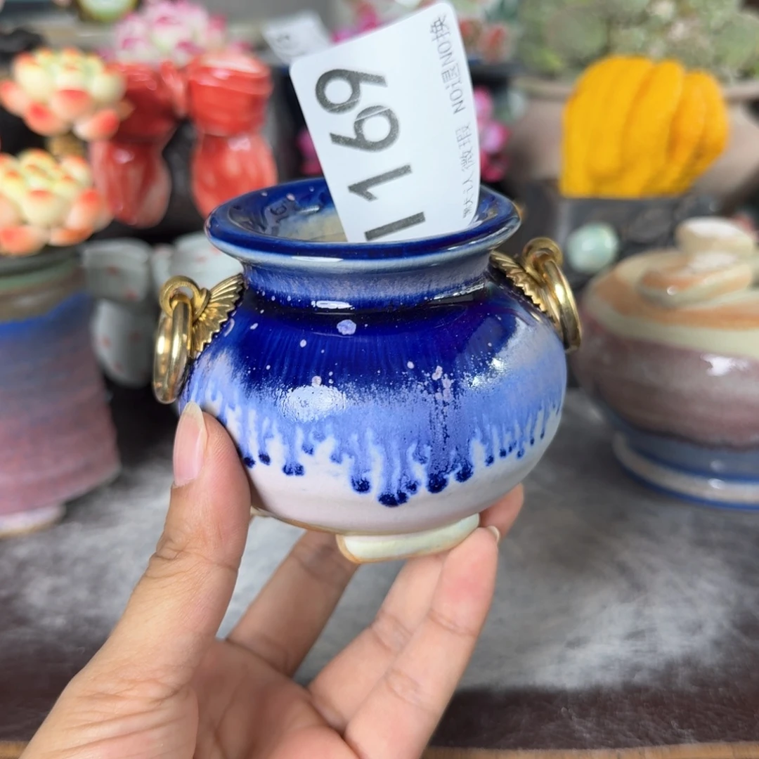 重庆小燕子欢迎大家169