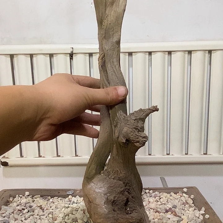 小***哥柏木崖柏根雕天然艺术