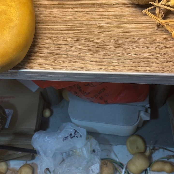 幸***猪羊羔毛哈哈聚会的时候我也是醉了