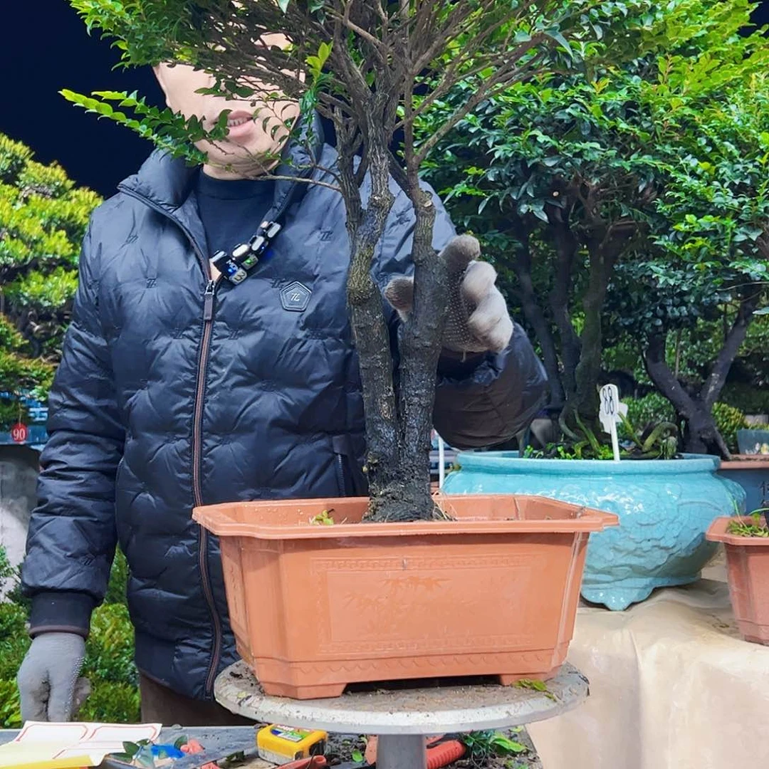 以实际为准静**坤12345678