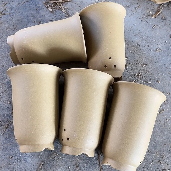 14×20五只黄段泥    特价