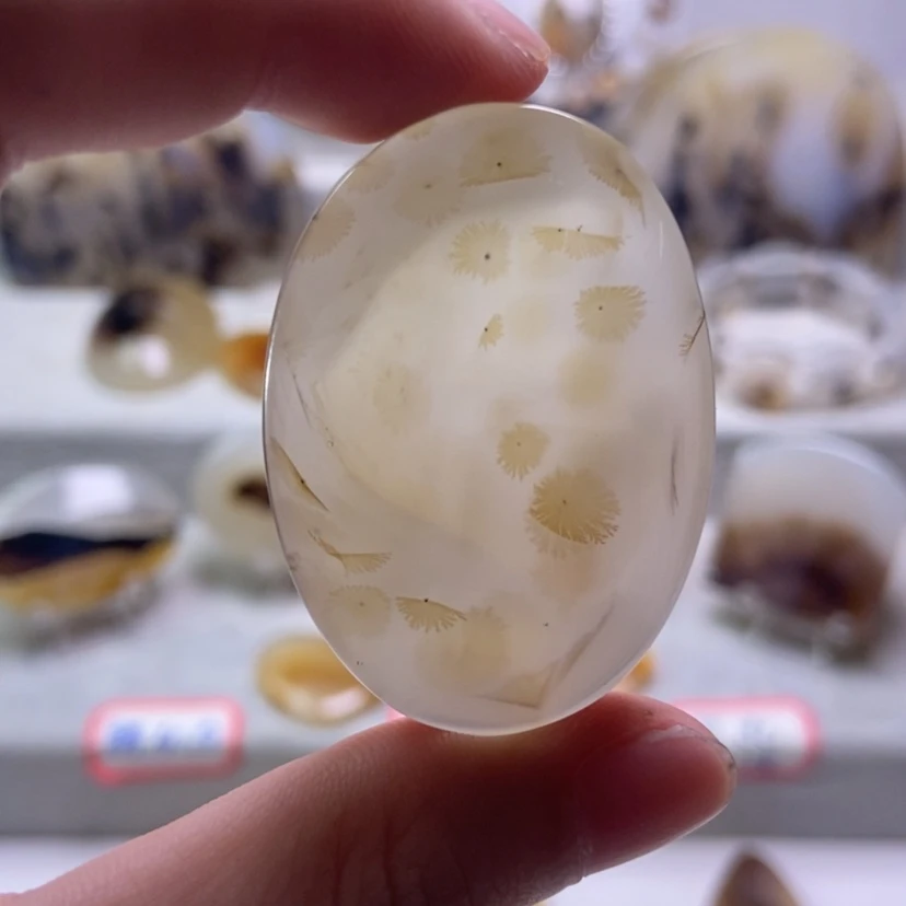 【闪购商品】未镶嵌玛瑙/玉髓珠宝奇石