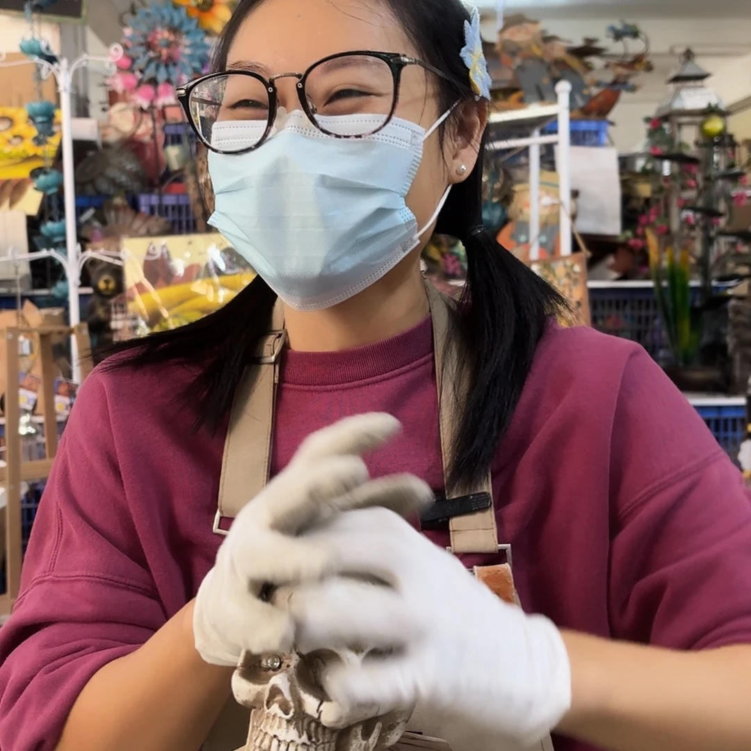 核桃木/黑胡桃（胡桃木）