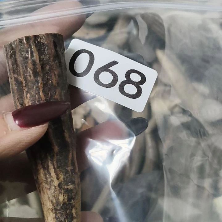 ****笔鹿角鹿角鹿角鹿角鹿角鹿角