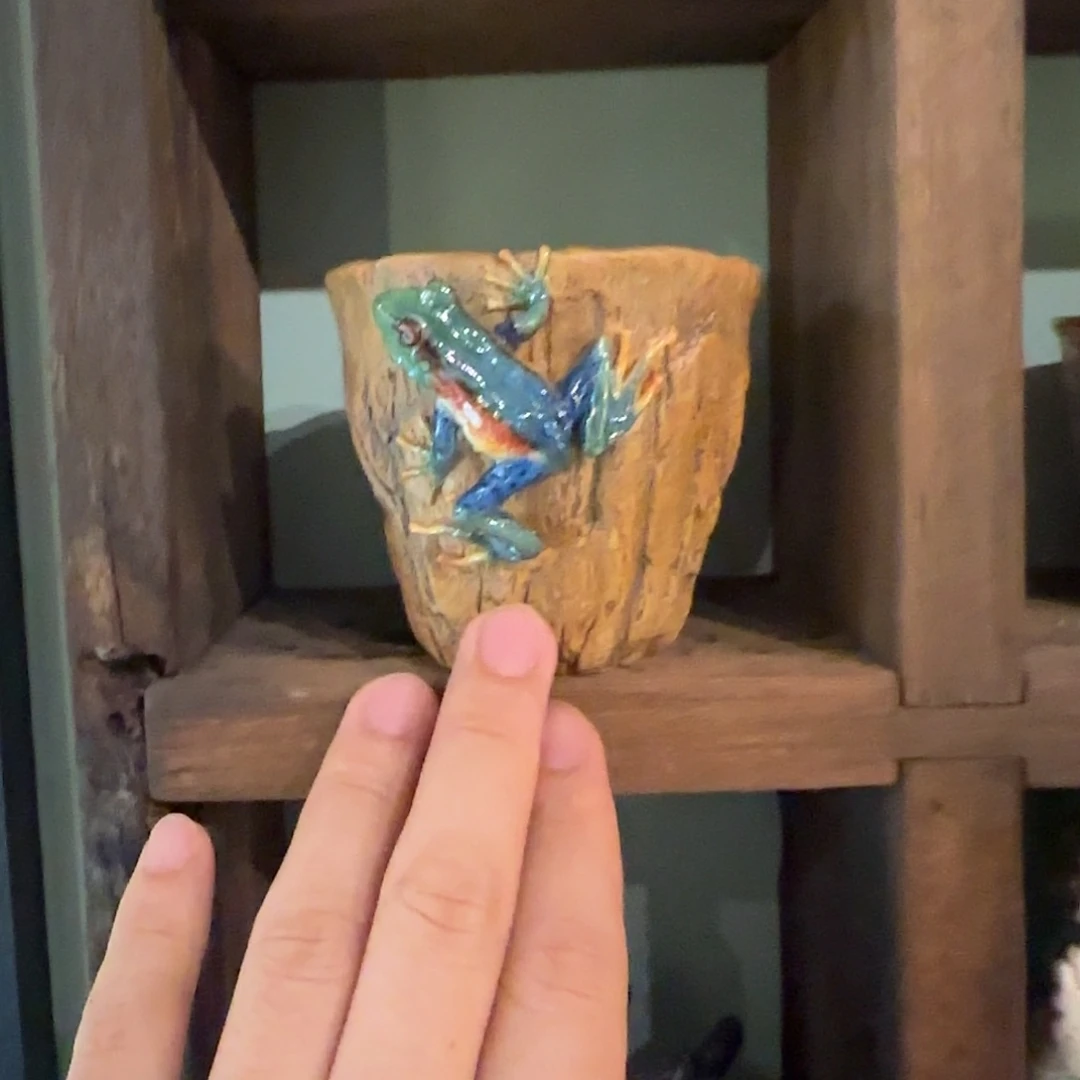 姑姑小赵格格是姑姑说个事