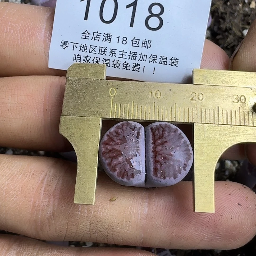 1018 哈哈哈哈哈哈哈哈哈