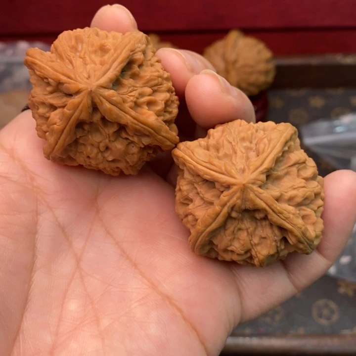 核桃野生四棱44尺核桃