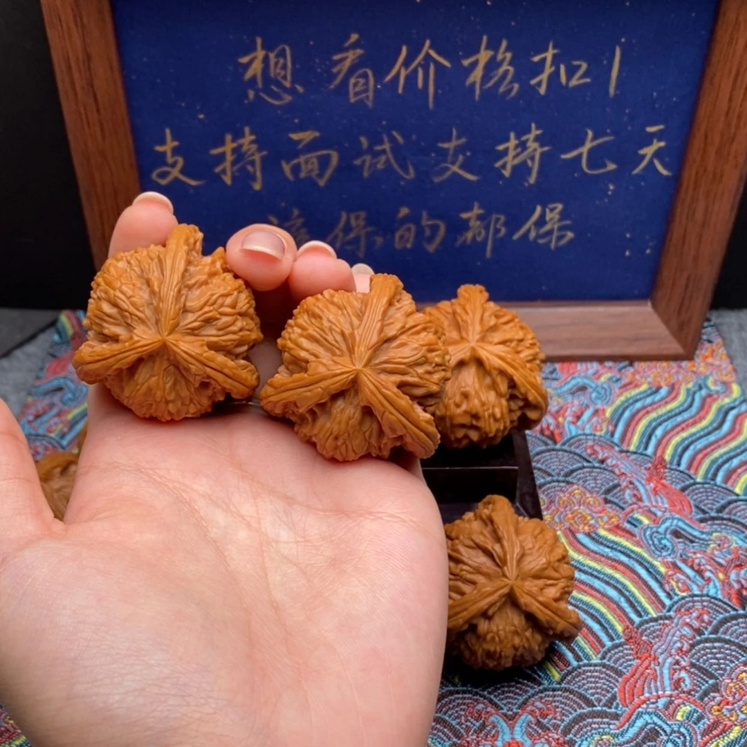 【闪购商品】南*摊白狮子