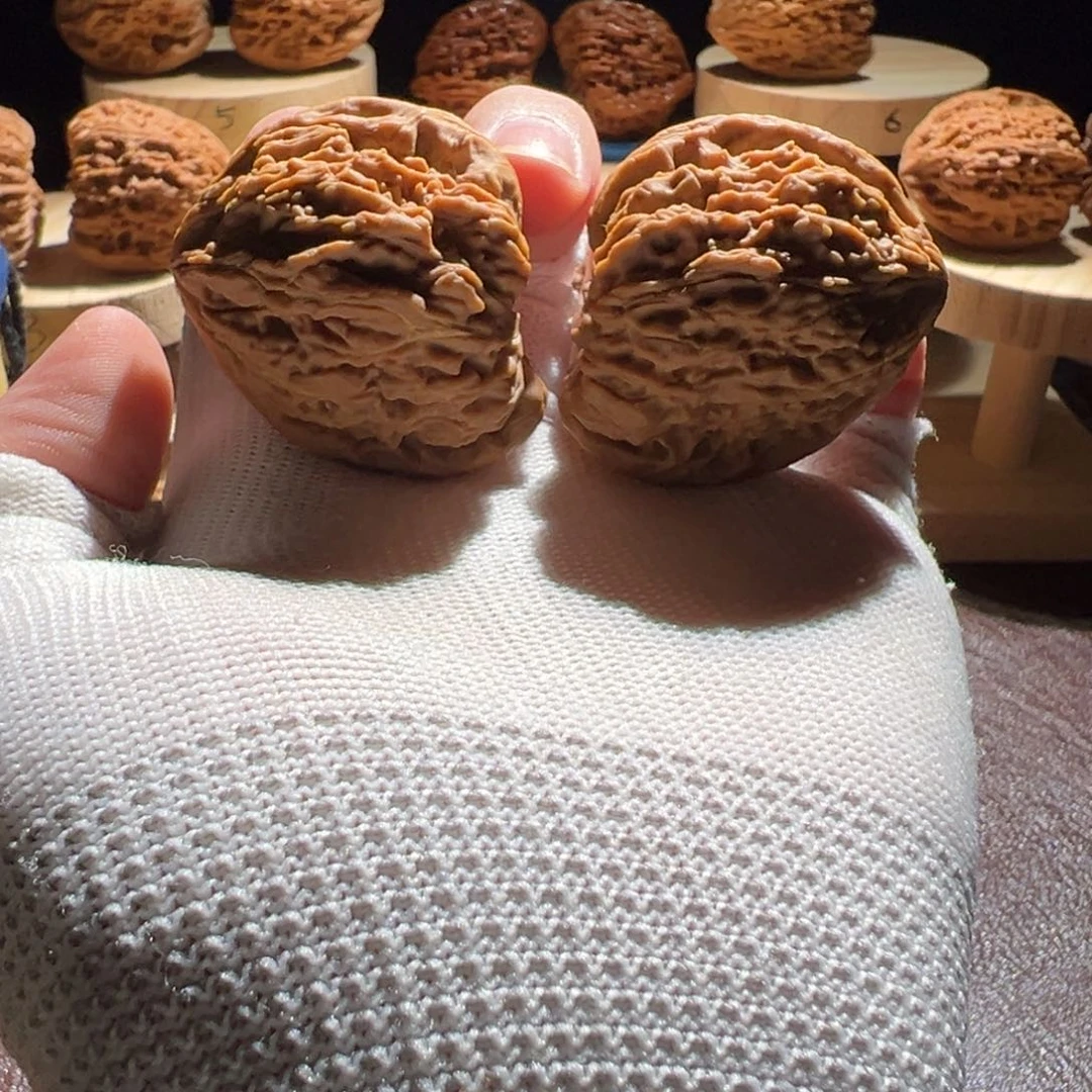 富***李核桃手串/手链涿鹿南疆石92号