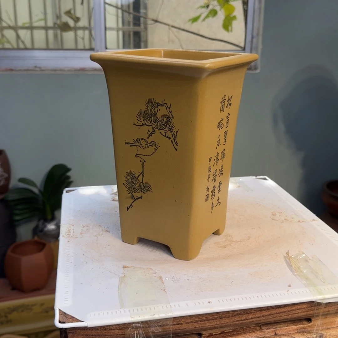 花盆紫砂紫砂口径15