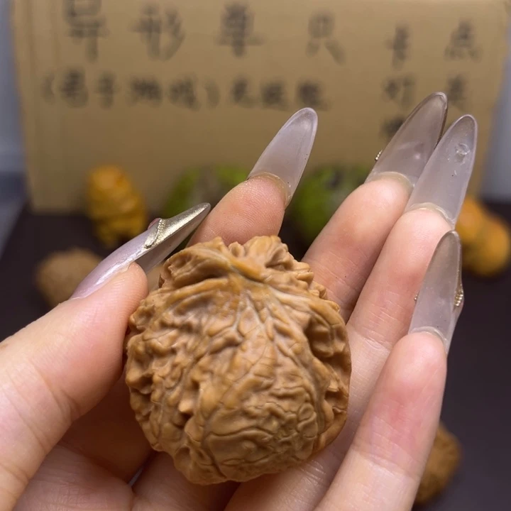 善***慧菩提籽类蛇单只异型有瑕