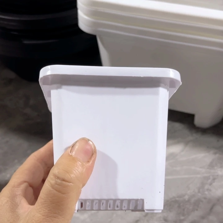白方厚口10高10一组10