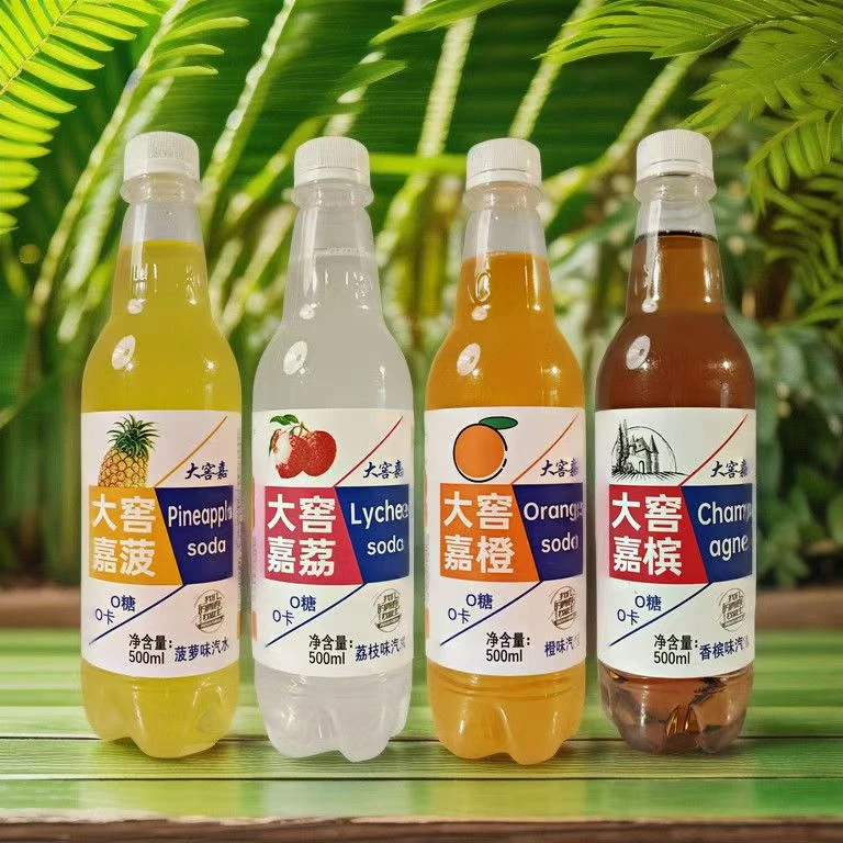 大窖嘉橙味荔枝多风味500ML整箱气泡水夏天冷饮