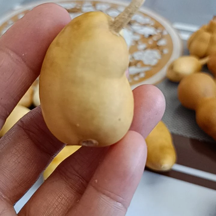 多****亿葫芦葫芦葫芦葫芦葫芦葫芦