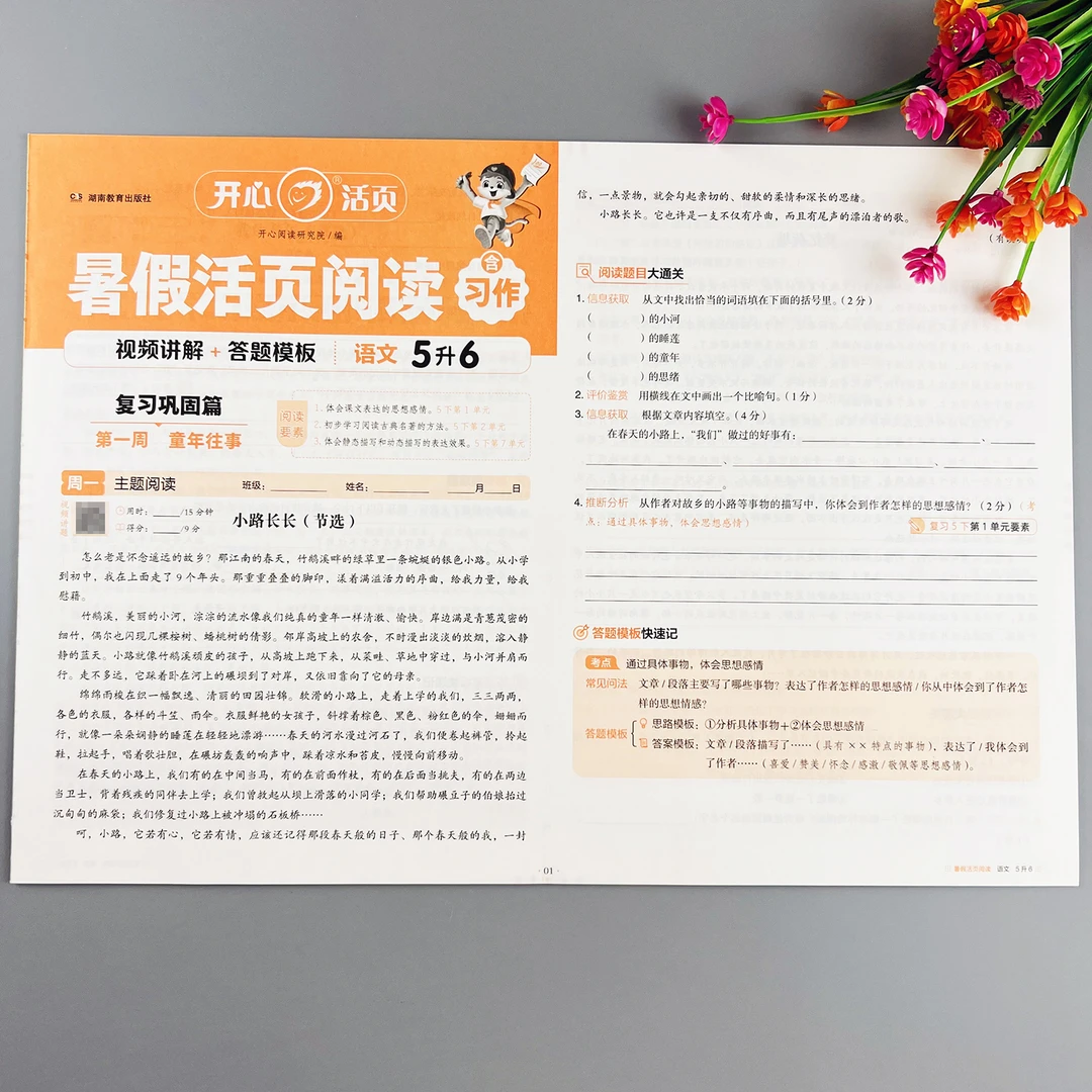 暑假活页阅读理解训练五升六暑假阅读理解每日一练阅读理解练习册