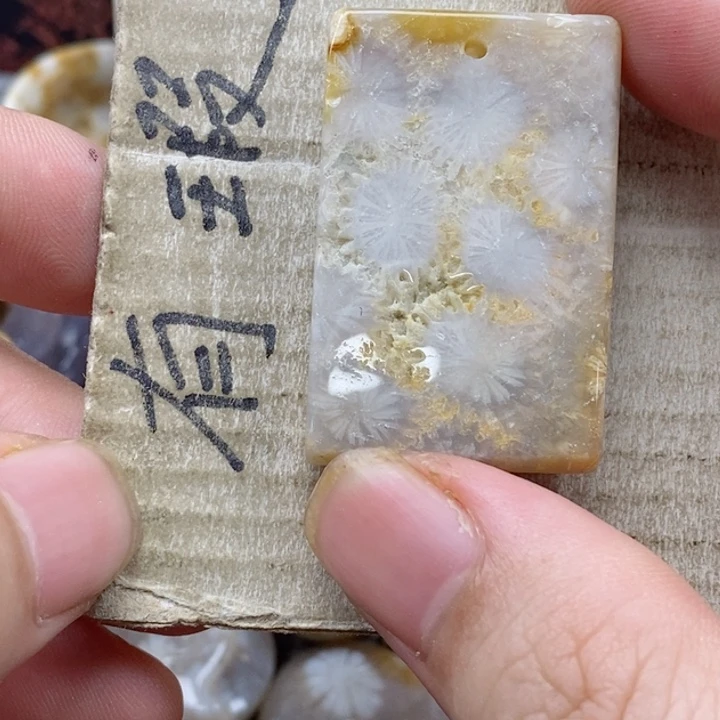 颈饰未镶嵌硅化珊瑚（珊瑚玉）小****?小