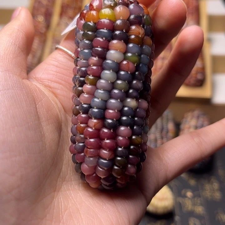 文玩玉米盘龙桃心款