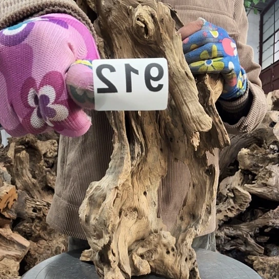 3**度紫砂噜啦啦啦啦啦啦