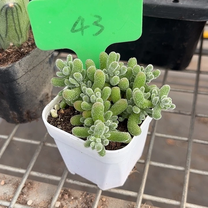 我也不知道我为什么要