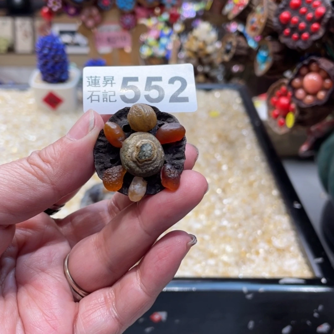 核桃木/黑胡桃（胡桃木）安****子552