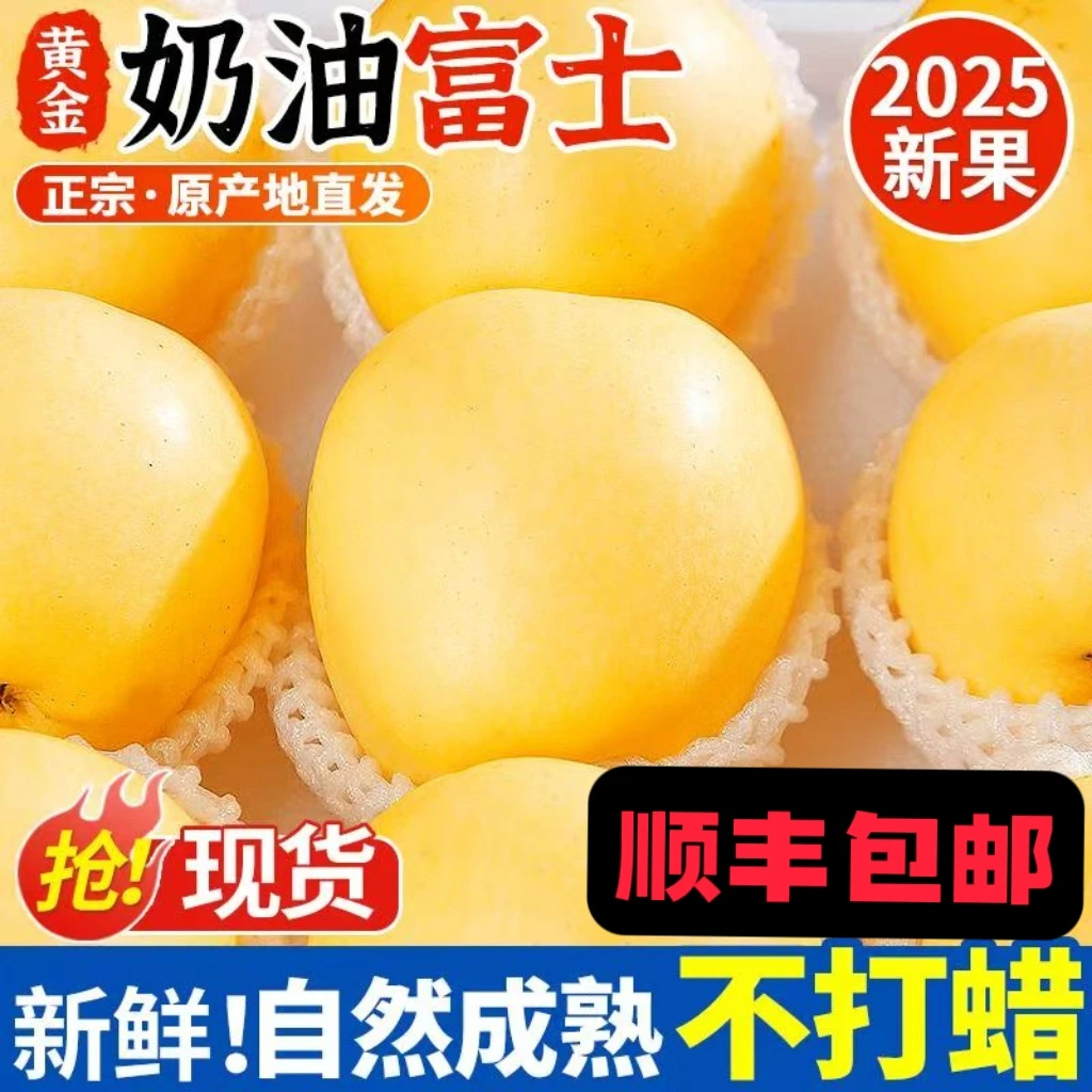 【顺丰包邮】头茬山东烟台栖霞奶油富士苹果新鲜应季采摘产地直发