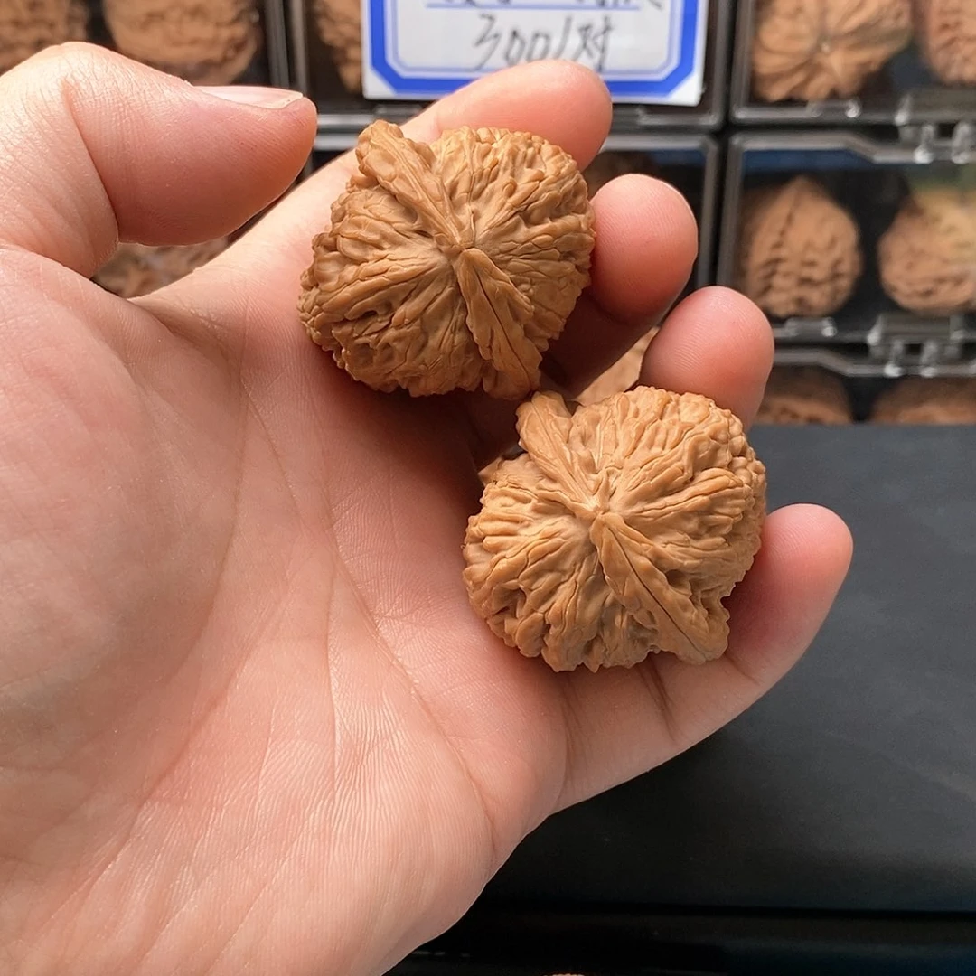 核桃手串/手链白狮子尺寸40