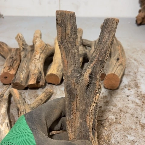 大果紫檀（缅甸花梨）曾***诺