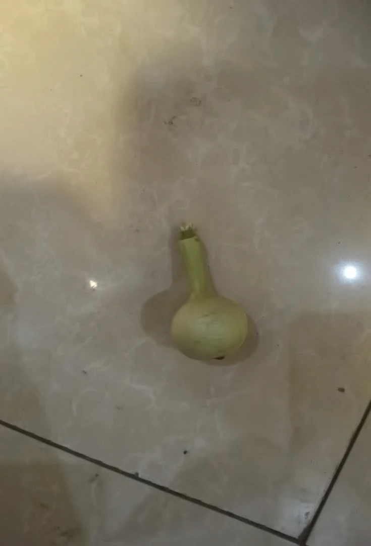 精品葫芦，图片仅供参考，非买勿拍！