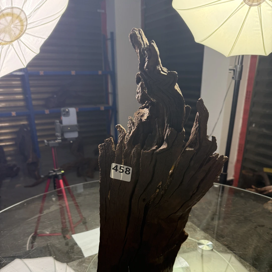 沉木云南紫柚木秒沉458