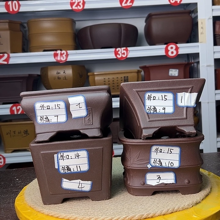 紫砂花盆蛇年大吉