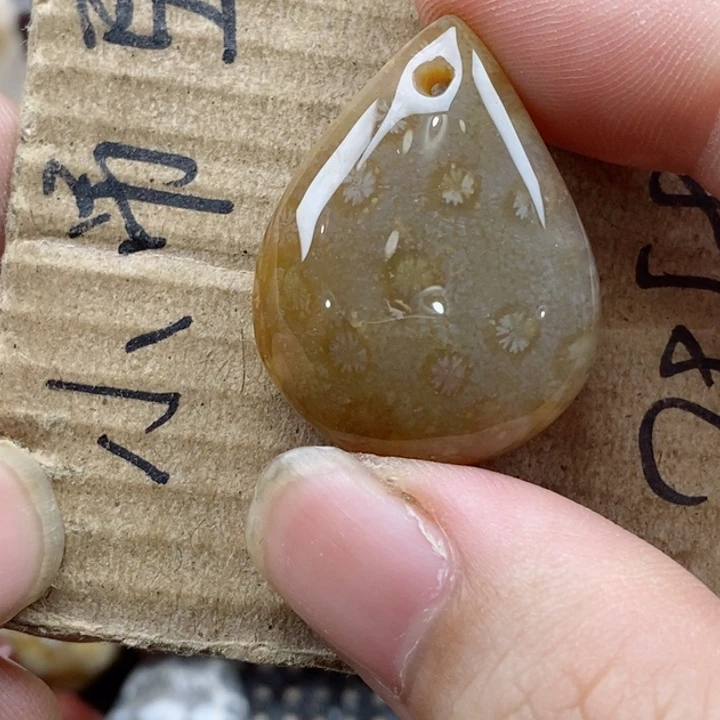 颈饰未镶嵌硅化珊瑚（珊瑚玉）王**儿