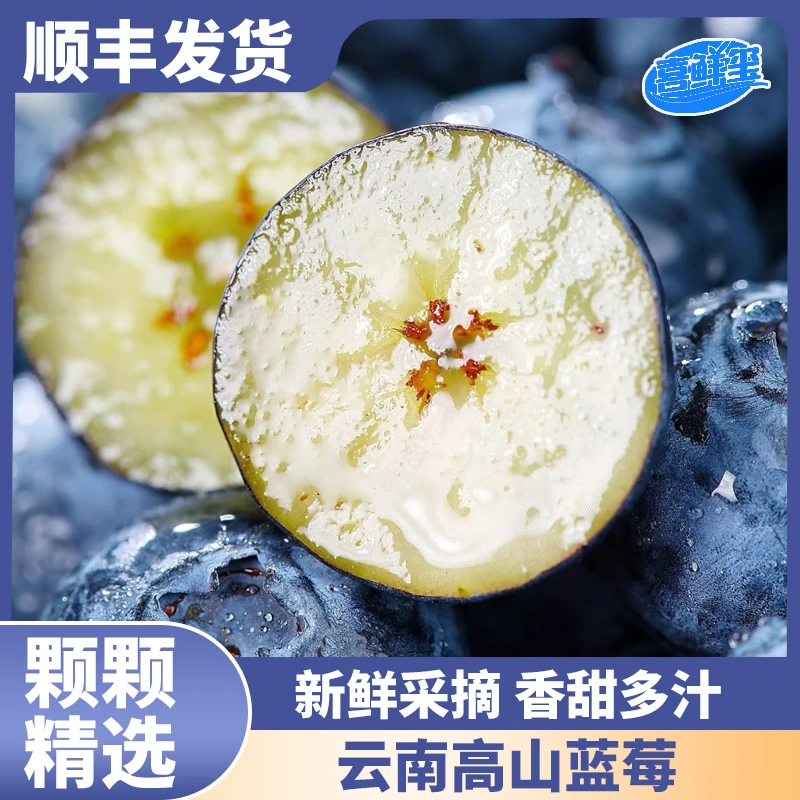 云南花香蓝莓8盒装 单盒100g新鲜采摘顺丰/京东发货