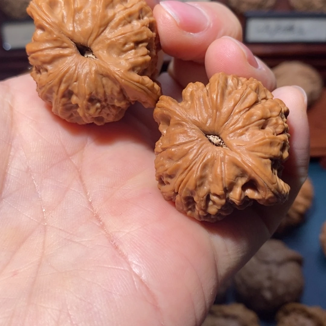 文玩核桃把件野生狮子头全品38