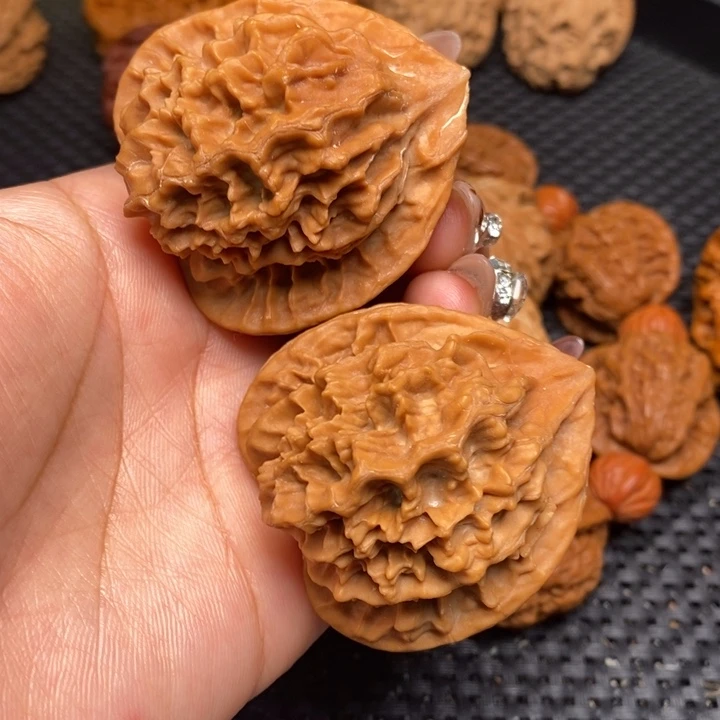 秦岭野生0000000012