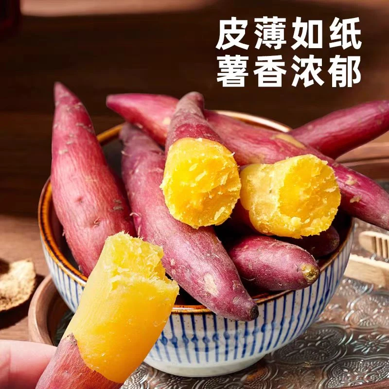 W次日到【瓦房店新鲜现挖】正宗沙地板栗薯5斤/10斤新鲜红薯板栗番薯现挖农家地瓜香甜板栗红薯辽宁省