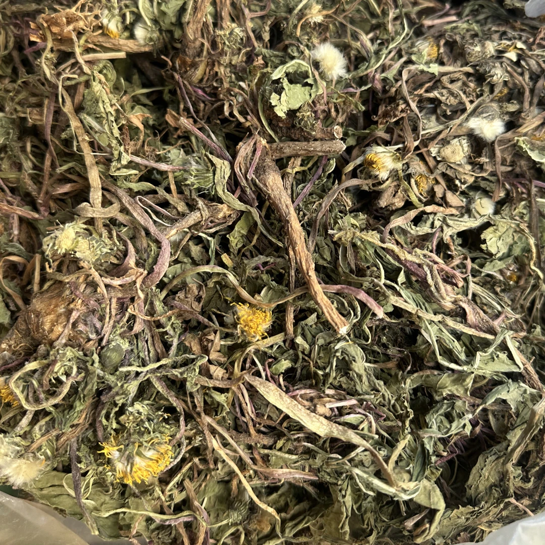 蒲公英 广西本地蒲公英 新货整株带根泡茶