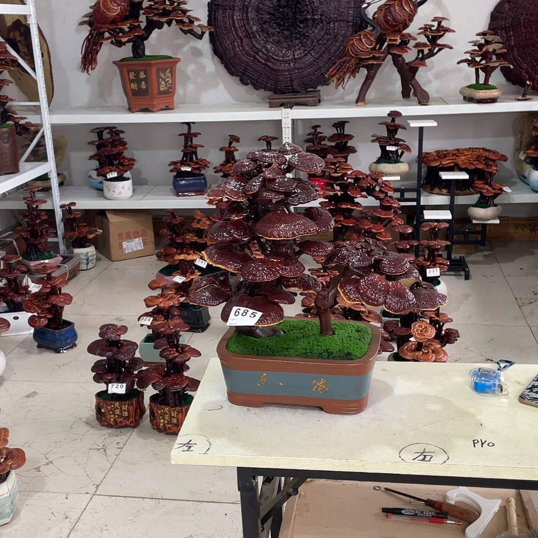 无花朵888888888888888