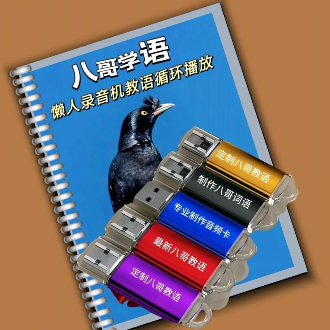 八哥学语定制卡学语优盘认知卡