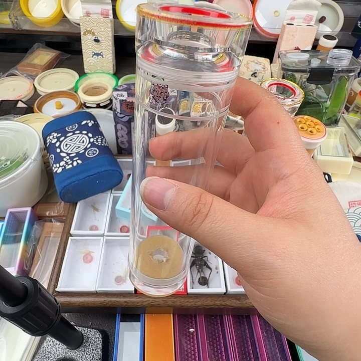 蟋蟀扎嘴筒子一个……