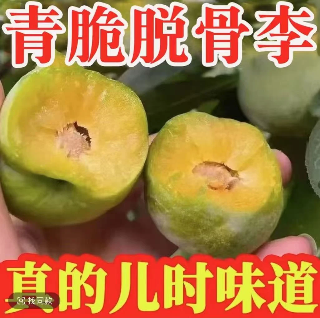 正宗四川清脆脱骨李酸甜可口新鲜应季水果
