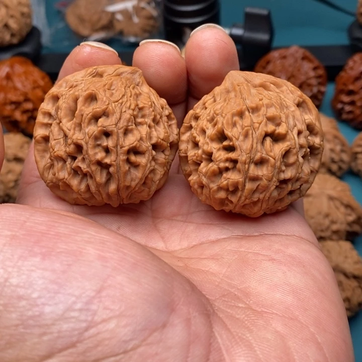 文玩核桃把件全品水龙纹异形